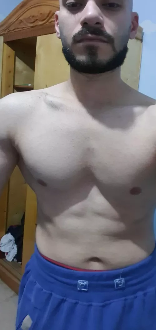 [m] should i bulk or cut