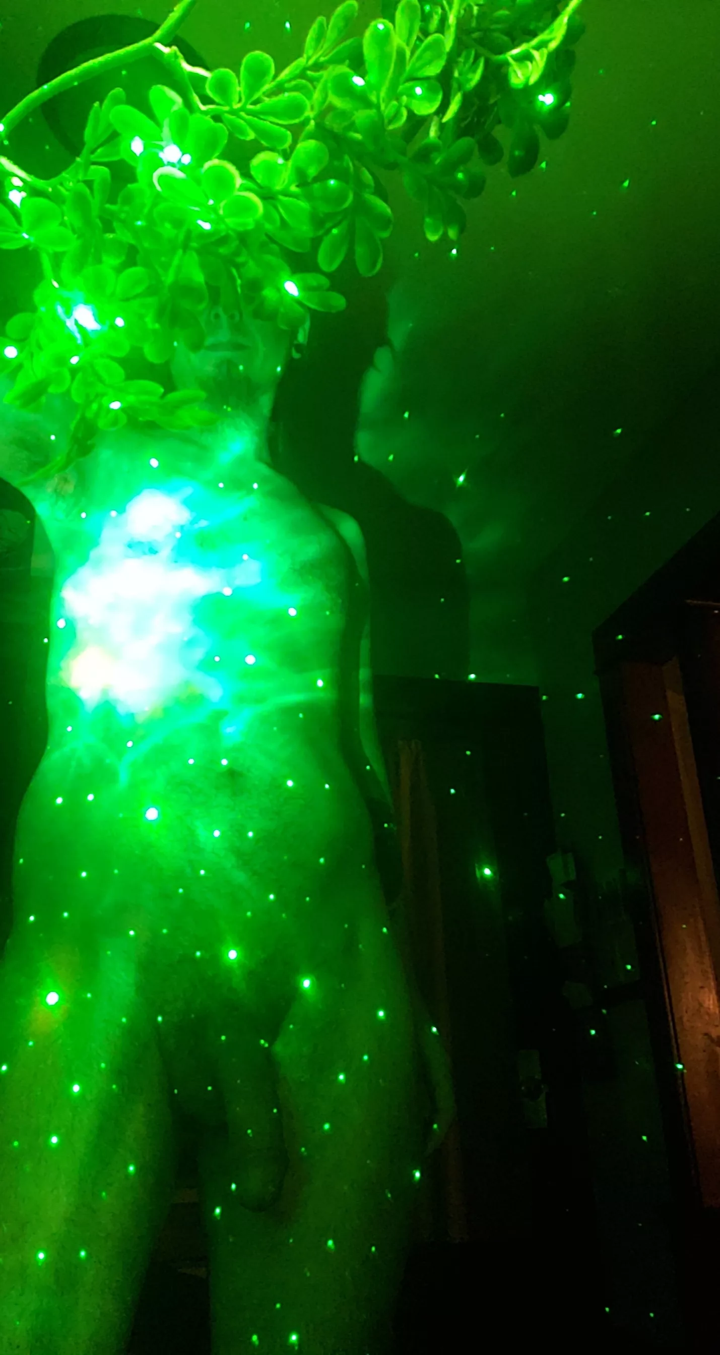 (m) when the trees take you to space