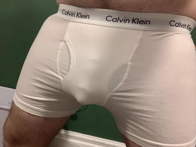 M19