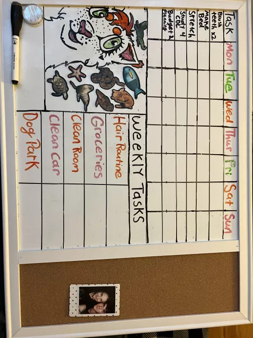 Made a daily and weekly chores chart to motivate me with self care. I move a magnet into the box once I’ve completed it!