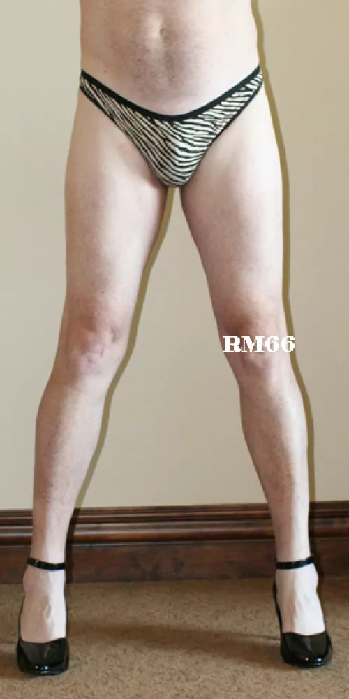 Maidenform Signature Cotton Thong Zebra Style