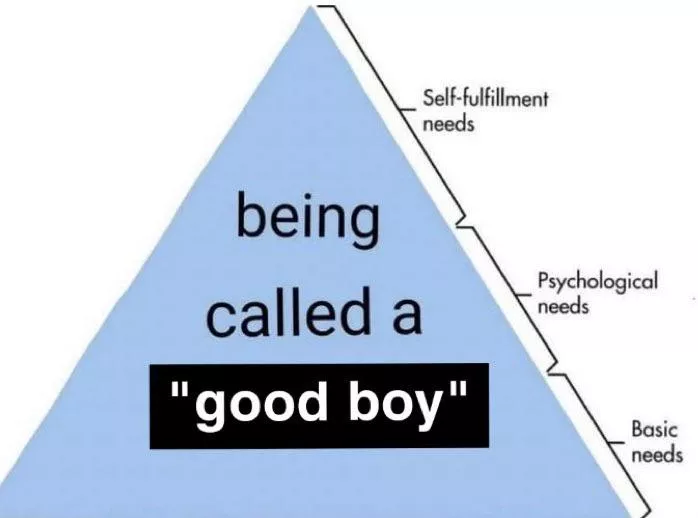 Maslow’s Hierarchy of Needs for him