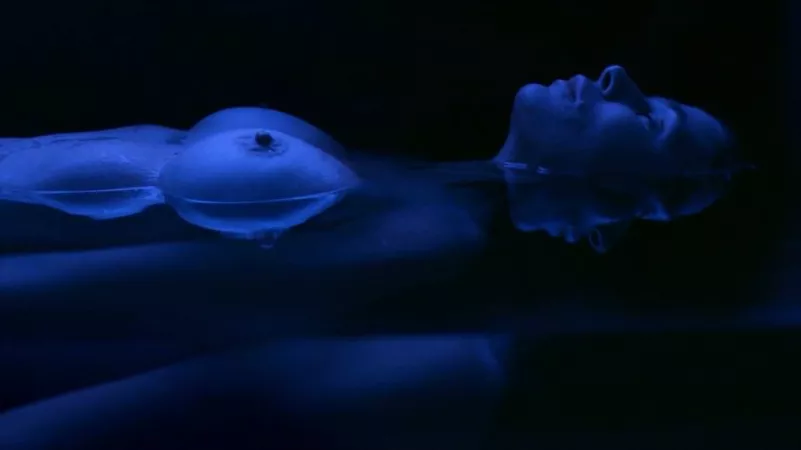 Maura Tierney, The Affair