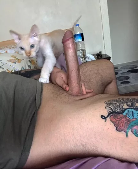 (M)Can you HANDle it ? ๐๐๐