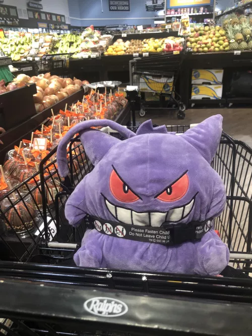 Me and Gengar going places! 😎