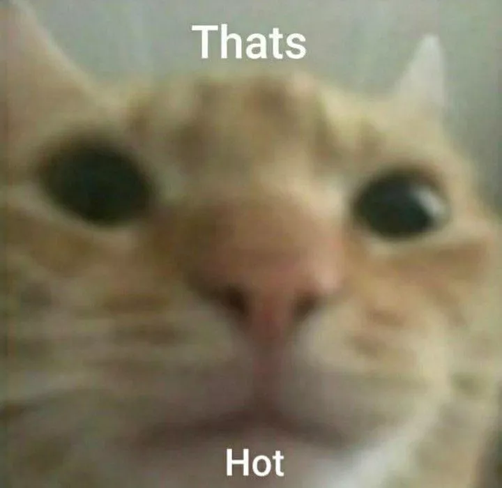 Me remembering I’m a switch when I’m a dominant 90% of the time Me remembering I’m a switch when I’m a dominant 90% of the time