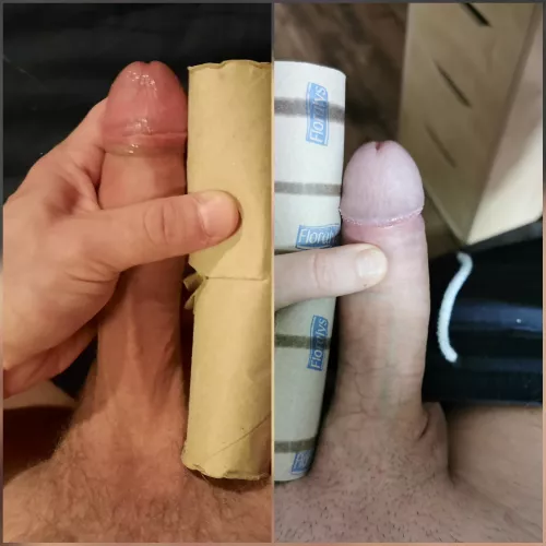 Me vs. @nightowl585 compared 😁 He is bit thicker, I'm quite a bit longer