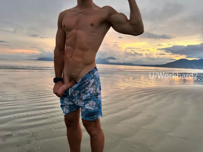 Meanwhile at the Beach! π