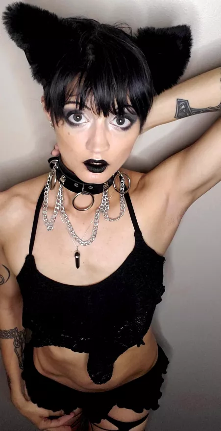 Meow? 🖤🐈‍⬛🖤