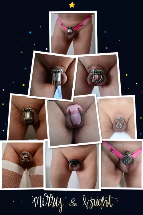 Merry Christmas 🎄