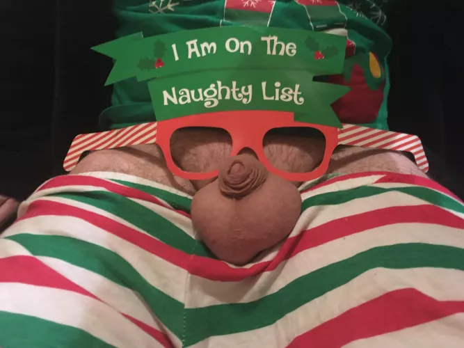 Merry Christmas from a little elf😉