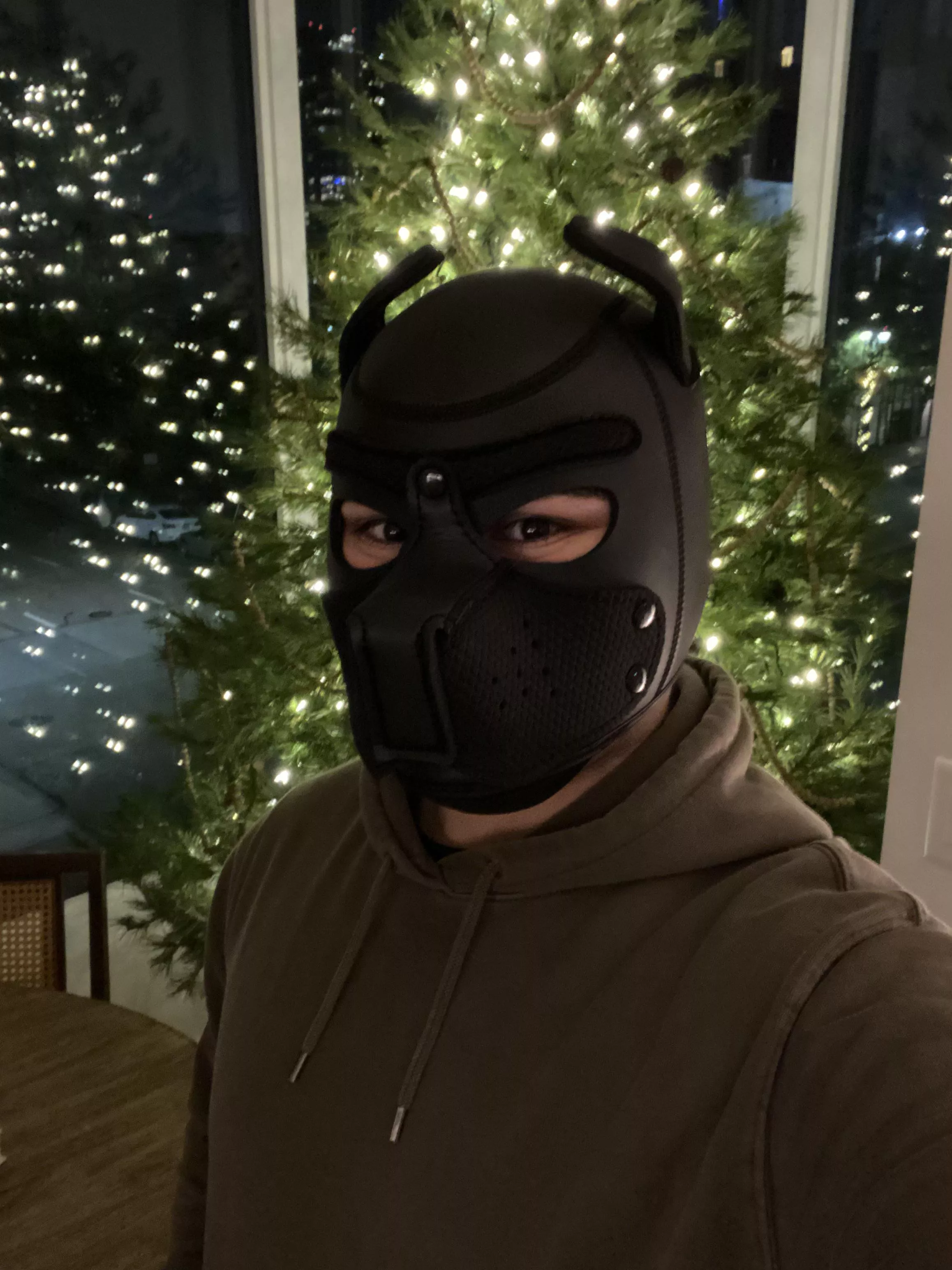 Merry Christmas pups!!!! 🎄🐶🎁