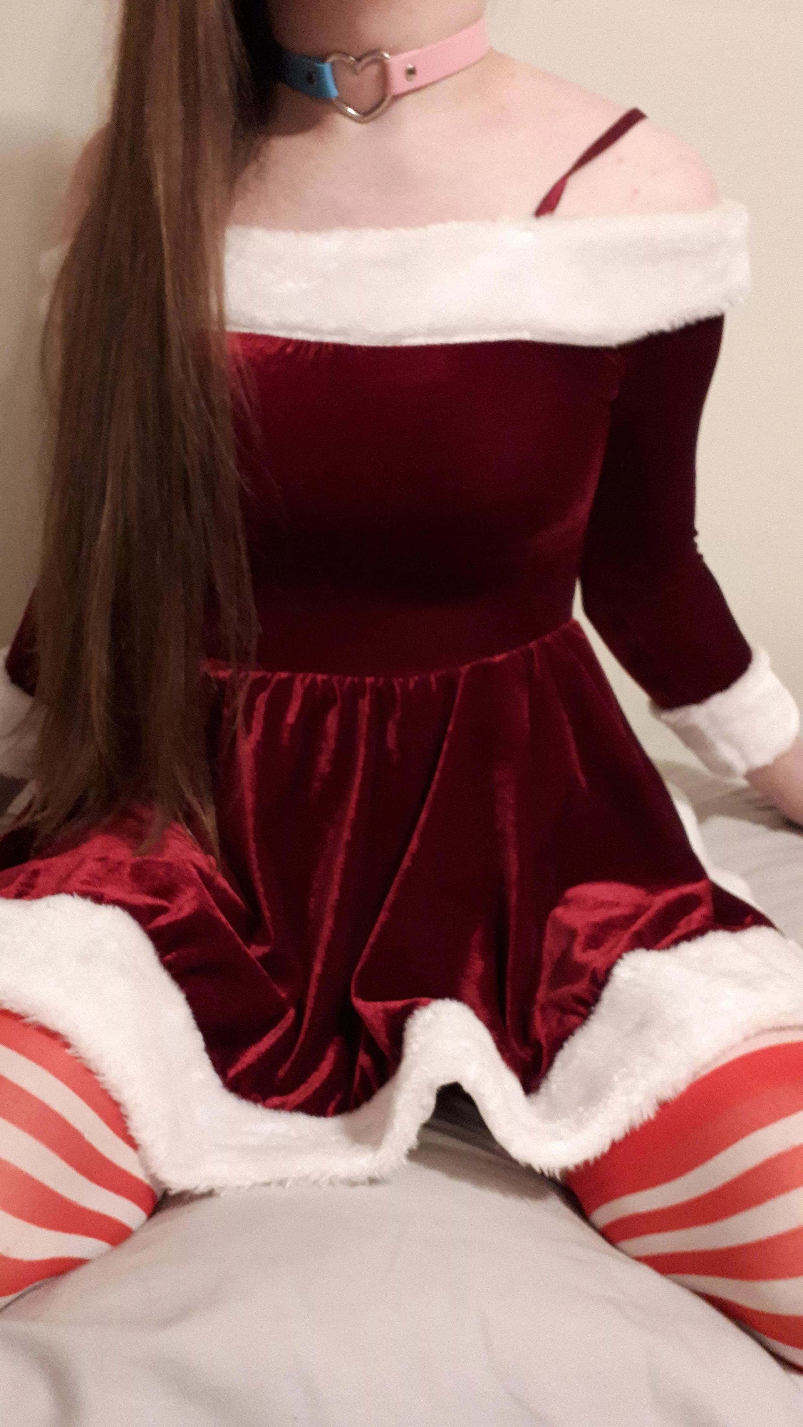 Merry Christmas! Think i've been a good girl this year? 😺