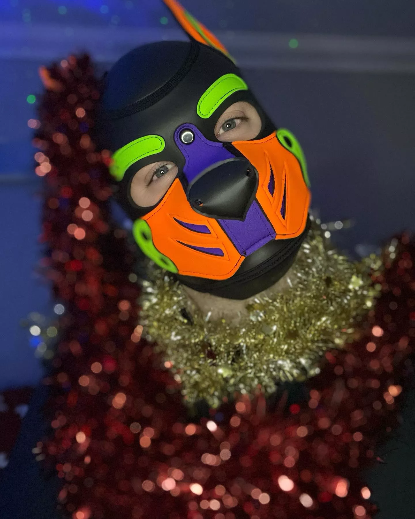 Merry Christmas to all the beautiful pups 💜💚🧡