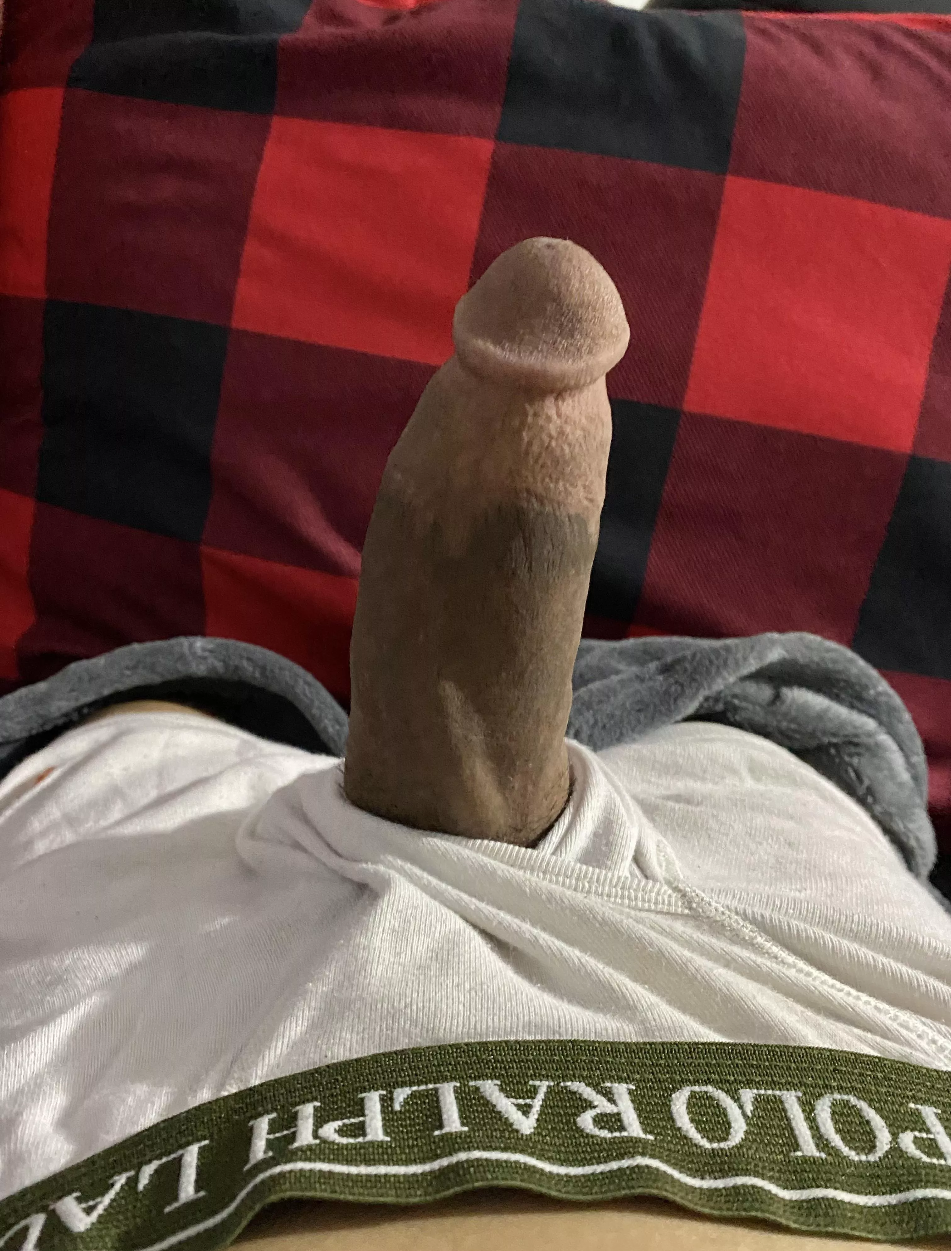 Merry Christmas,from polo and I! 🎅🎄🎁