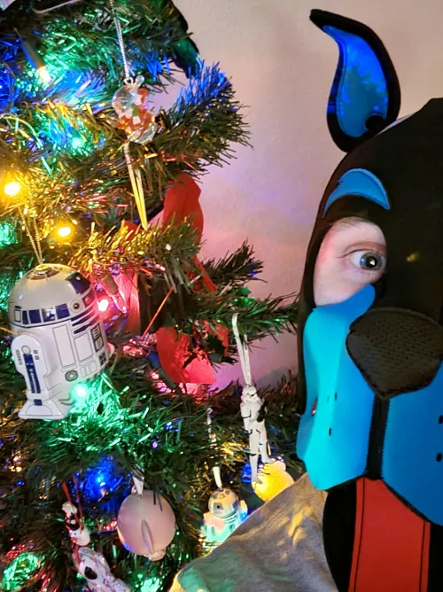 Merry Pupmas! 🐶🎄