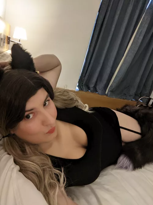 Meuw!! 🐈⬛. Hope you're having an awesome day!