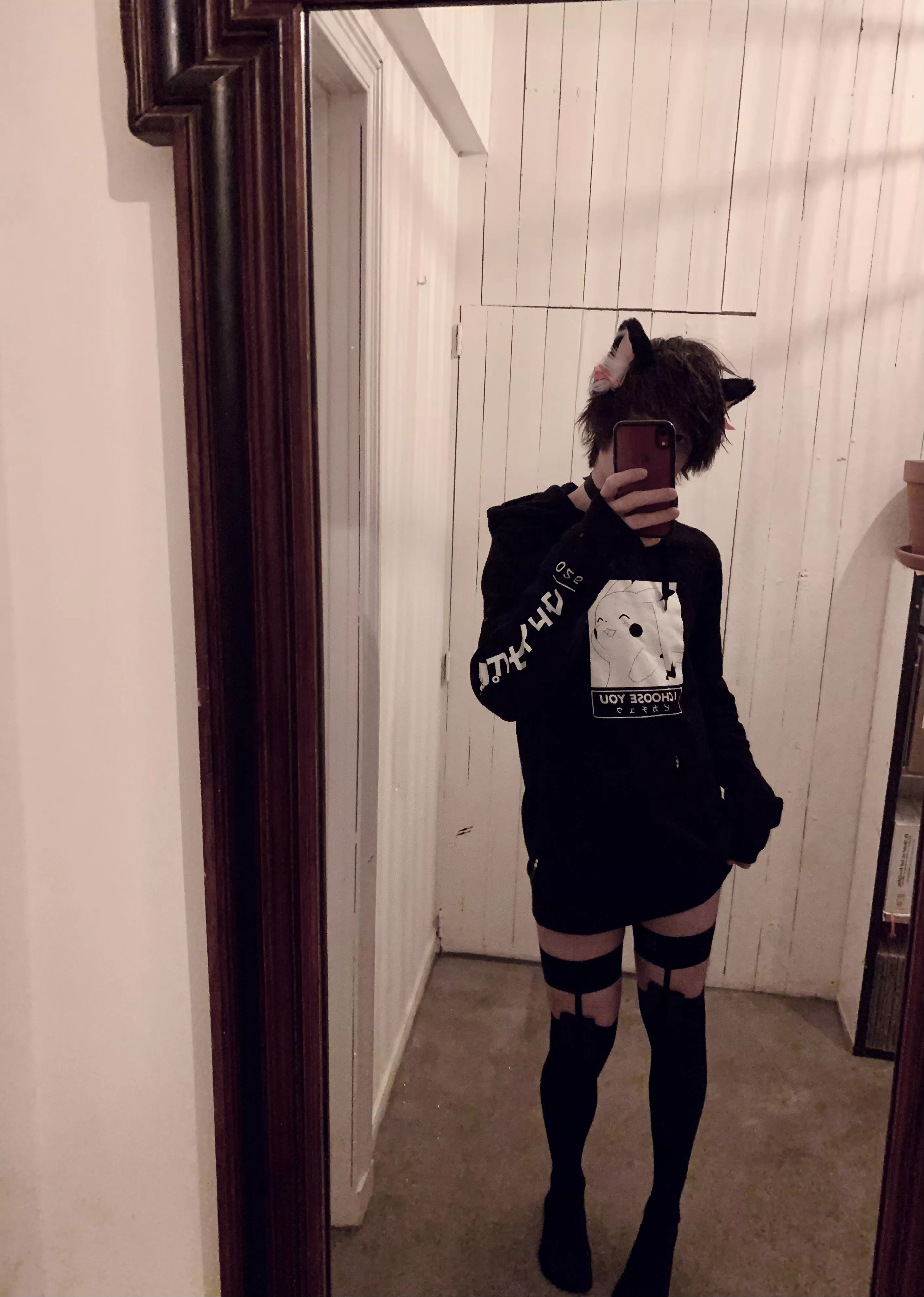 Mew :3 Who wants to cuddle?