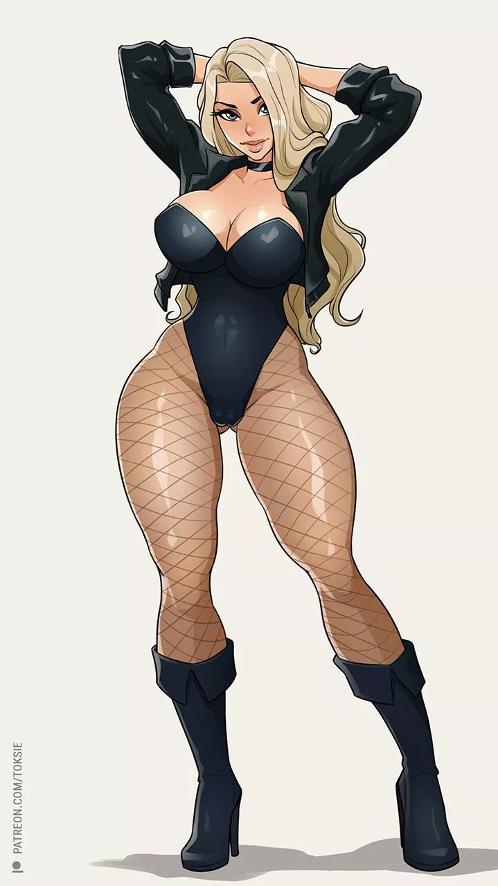 MILFS are some of the best heroes. Black Canary is a sexy Super MILF