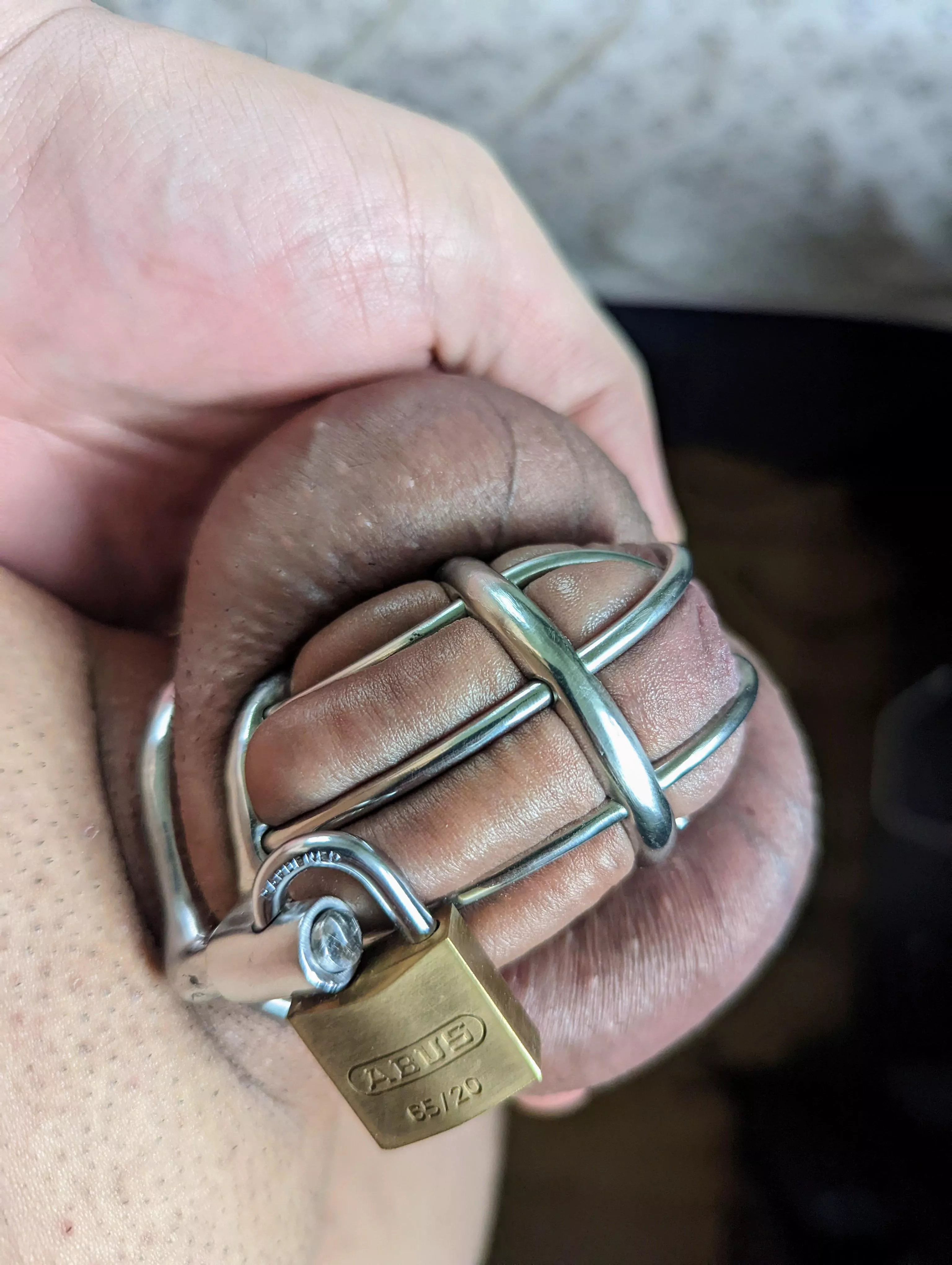 Mini dog fresh off the grill