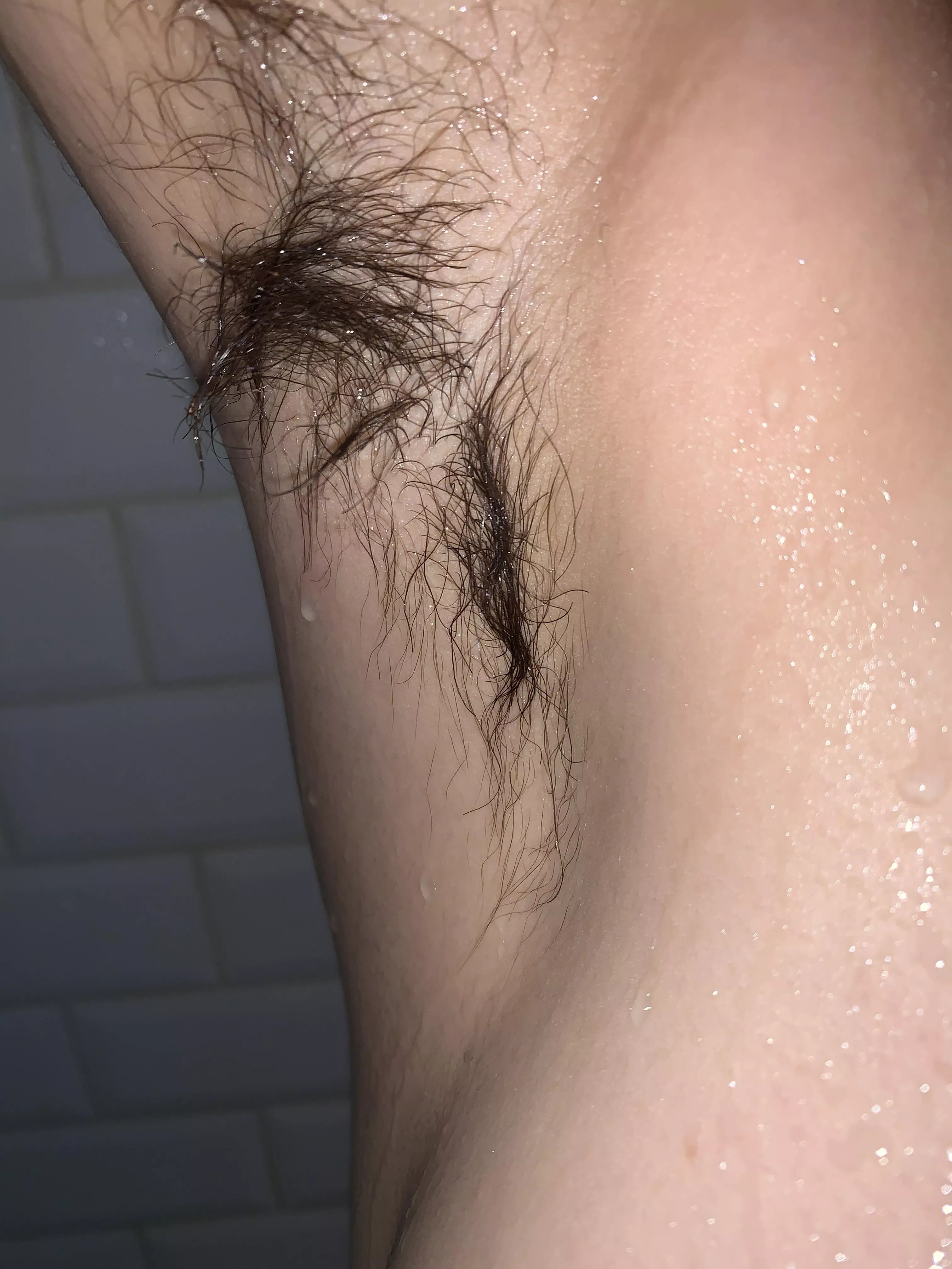 Mirror mirror on the wall who is the hairiest of them all ?