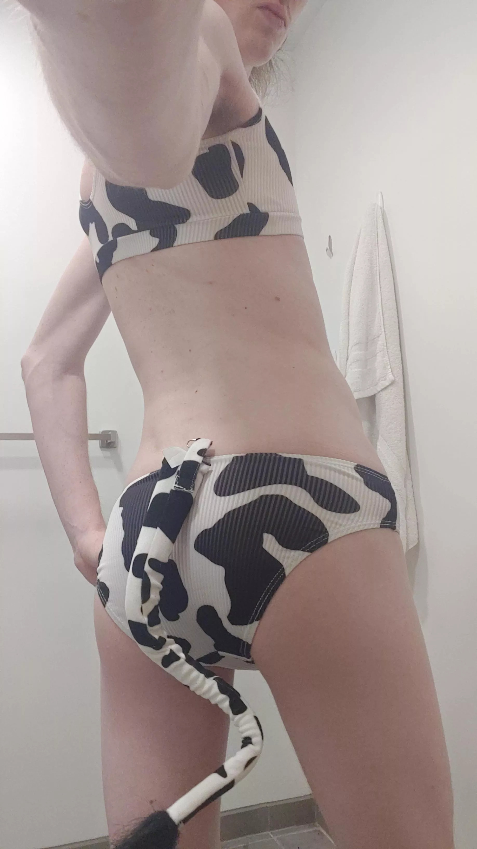 moo moo moo 🐄 moo moo moo 🐄