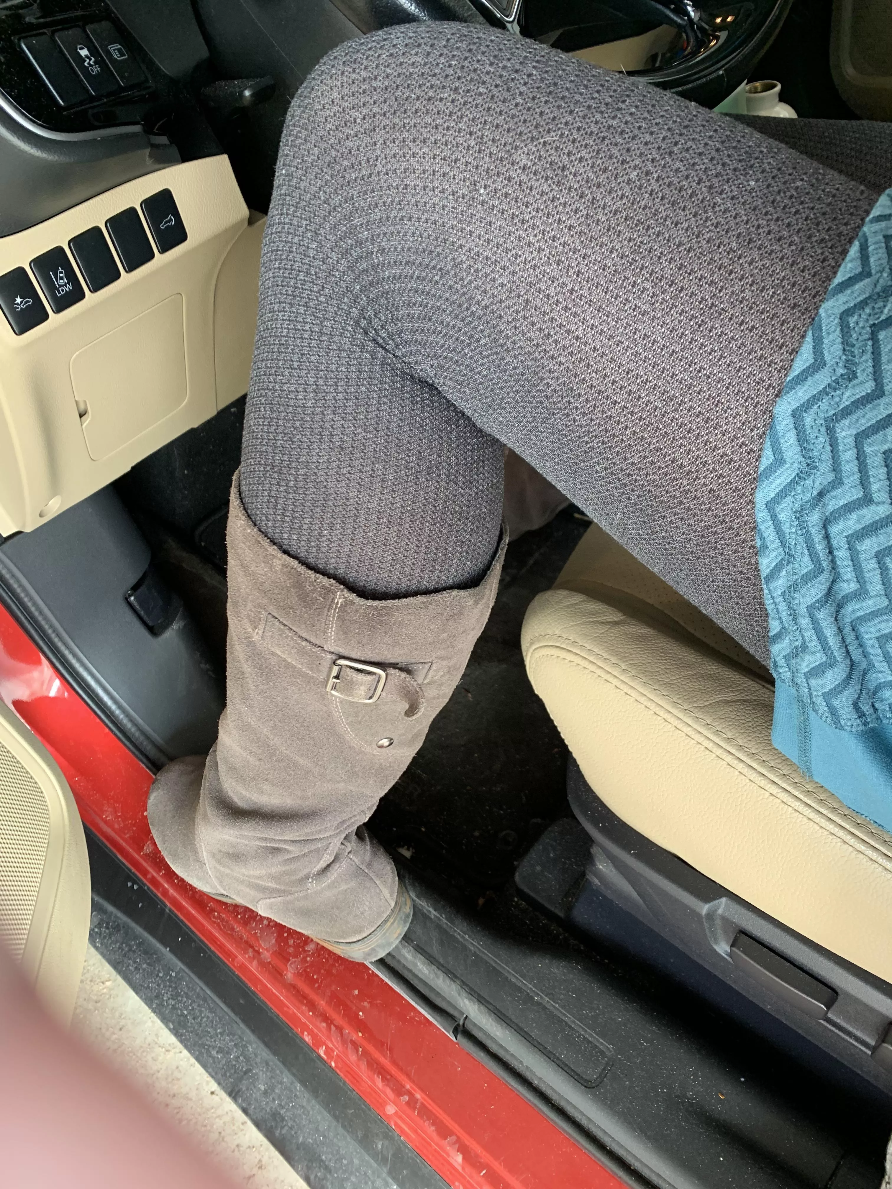 More cold weather hosiery. Someday it will warm up!