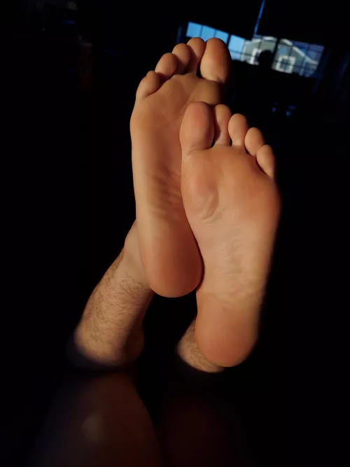 More sunrise paws