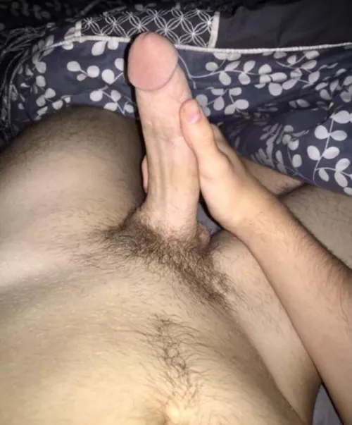 Morning