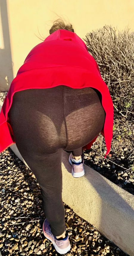 Morning lighting is the best for stretching during my walk βΊοΈ