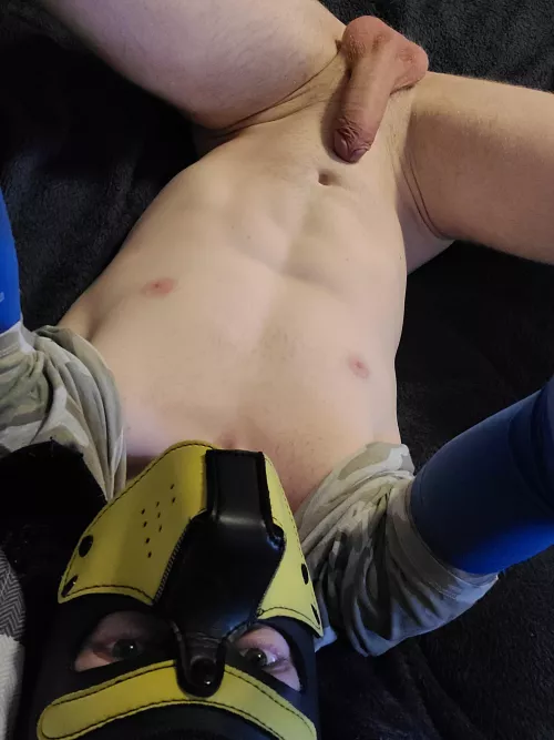 morning puppers how are we today ;)