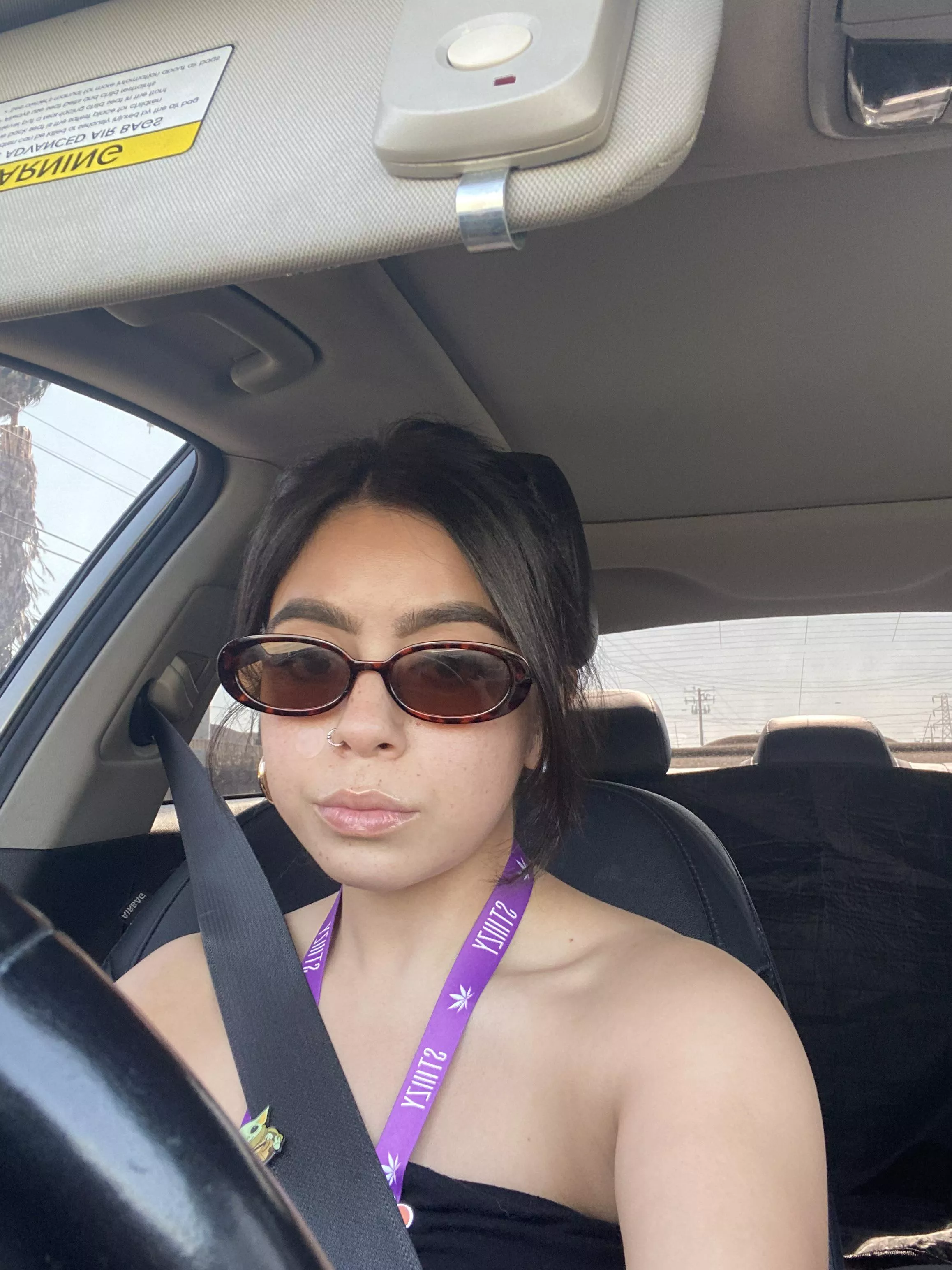 morning sun is blinding