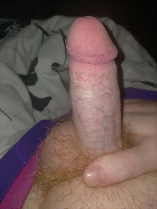 Morning wood and my fluffy ginger balls