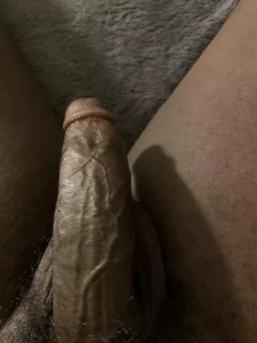 Morning wood. Dm’s open