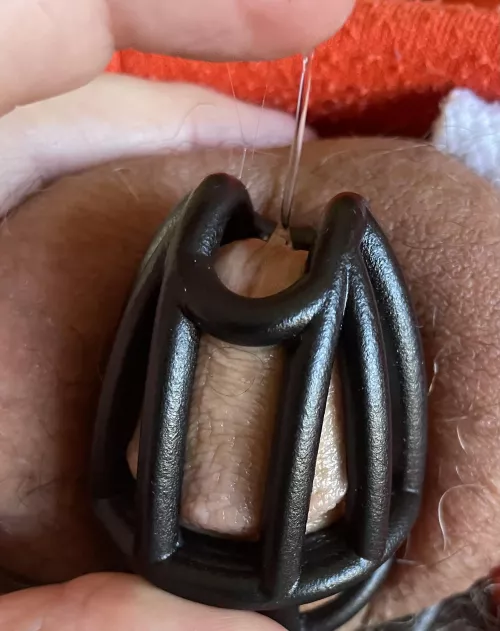 MsDBG8422 has kept me locked for most of the last 5 years. She told me that she wants me to suck her bull’s cock. Her prospective bull told me that he was going to fuck my throat. This is the result. Showed him. He called me pathetic. Leaked even more.