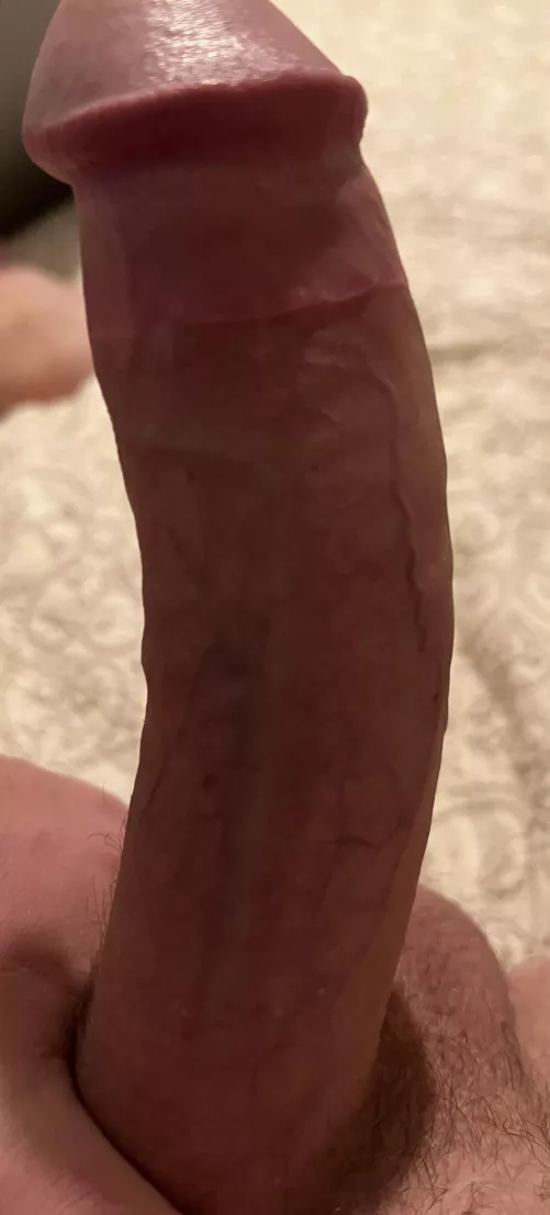 My 8 week old cut cock! What do u think?