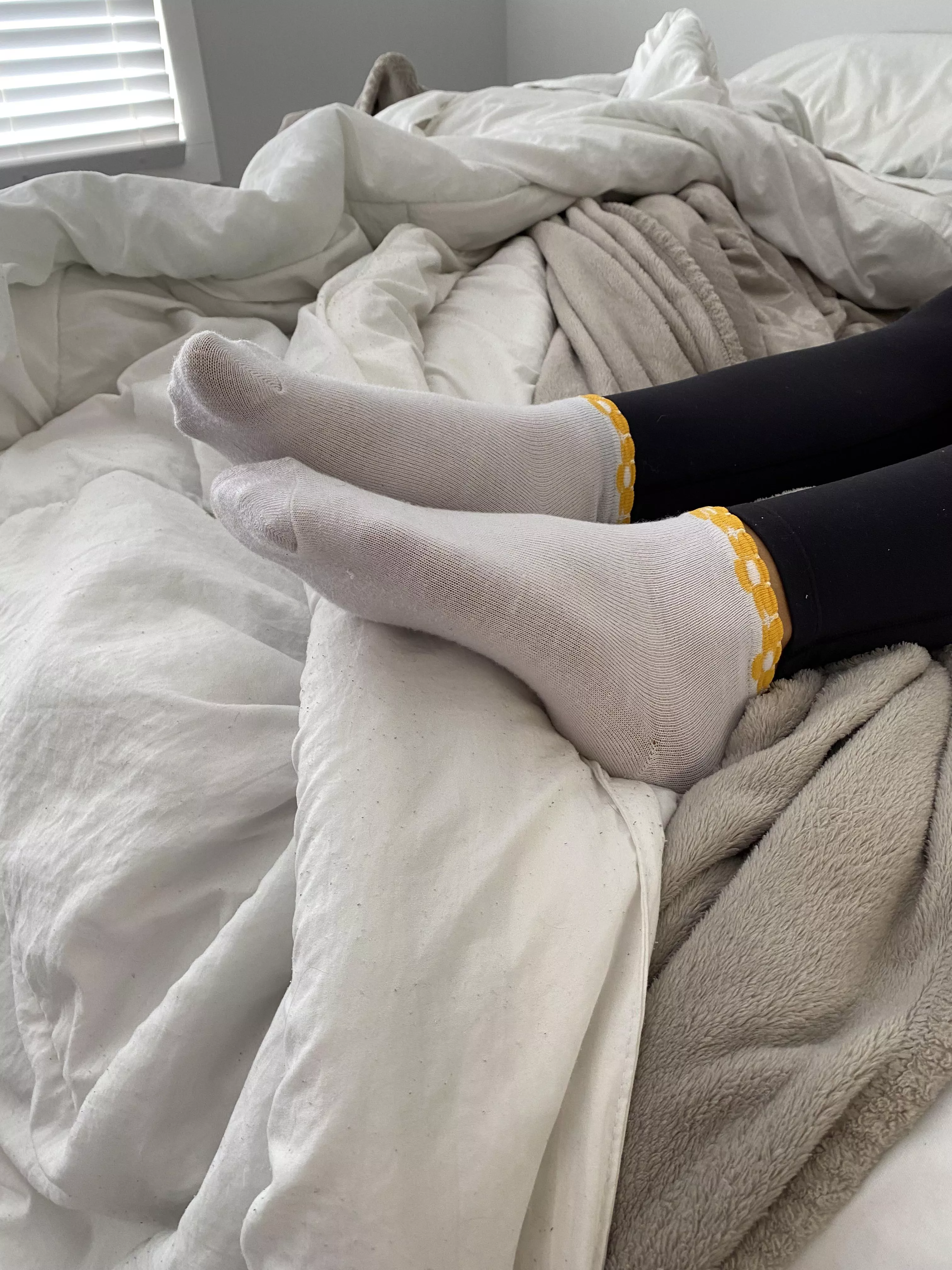 My absolute favourite socks! Canadian 🇨🇦🇨🇦🇨🇦