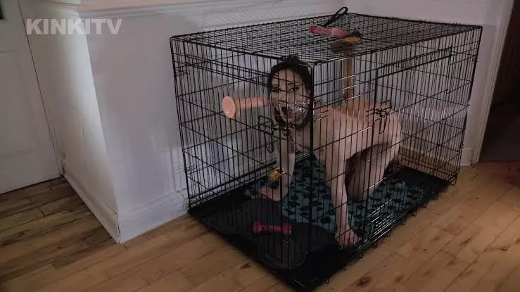 My apartment feels empty, maybe having a dumb pet slut like this in the corner would make it feel cozier