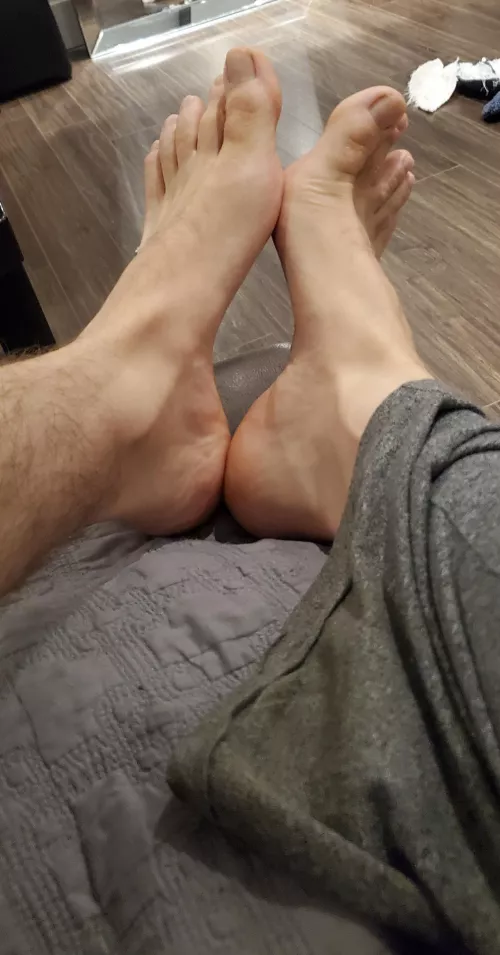 My arches