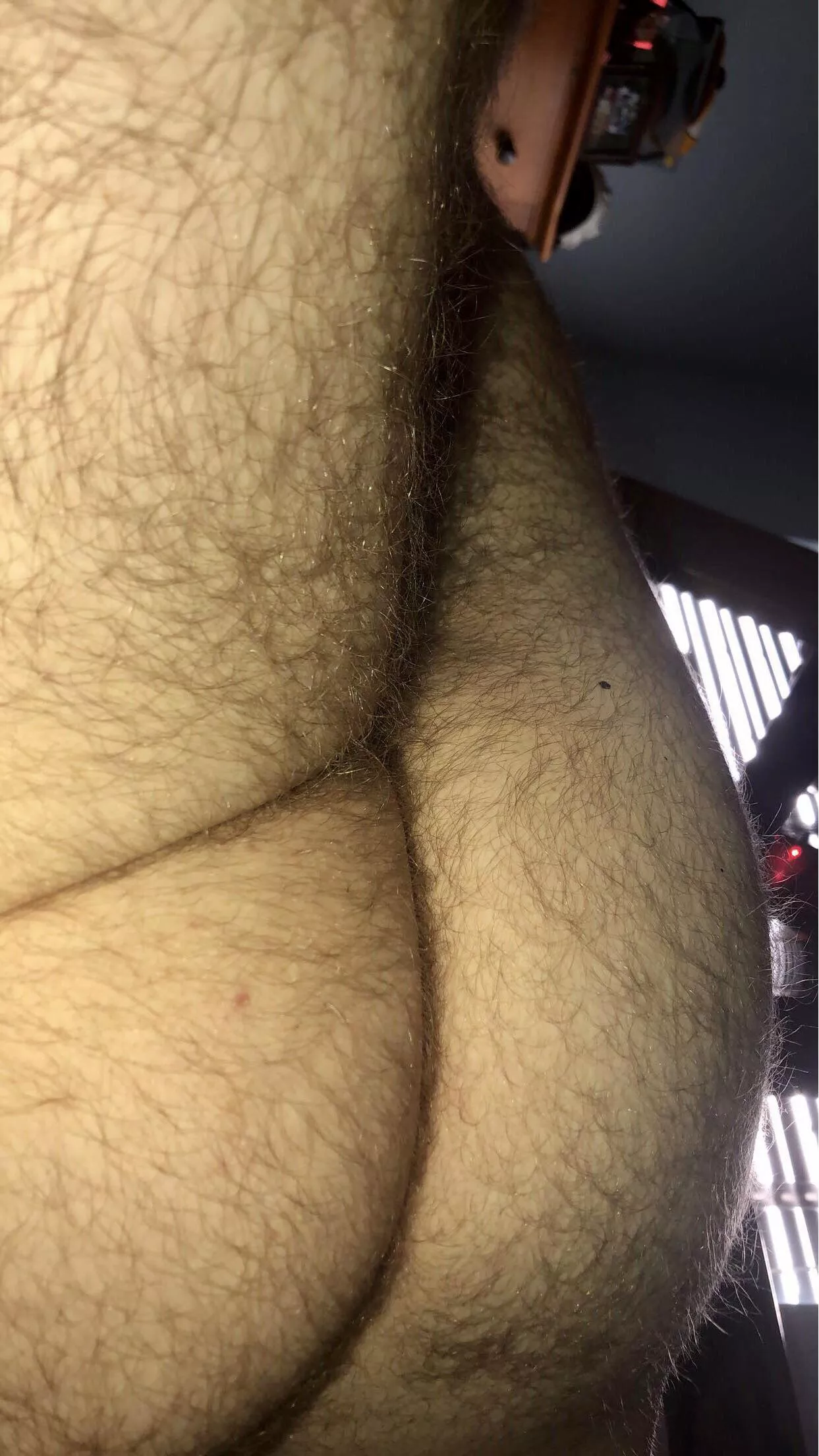 My ass has always been super hairy. (19) My ass has always been super hairy. (19)