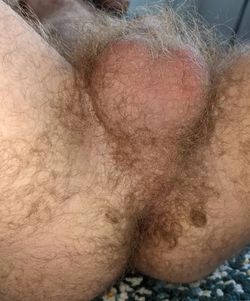 My balls and taint are insanely hairy