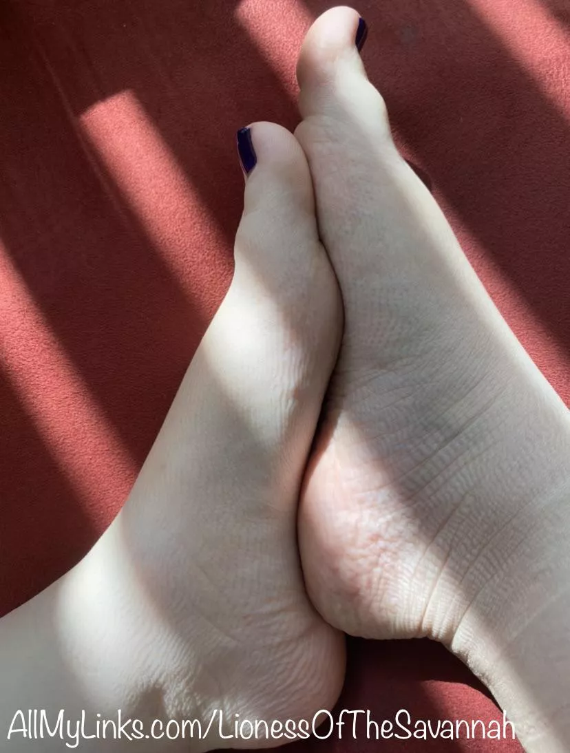 My barefeet just after I removed my Fishnet Socks π My barefeet just after I removed my Fishnet Socks π