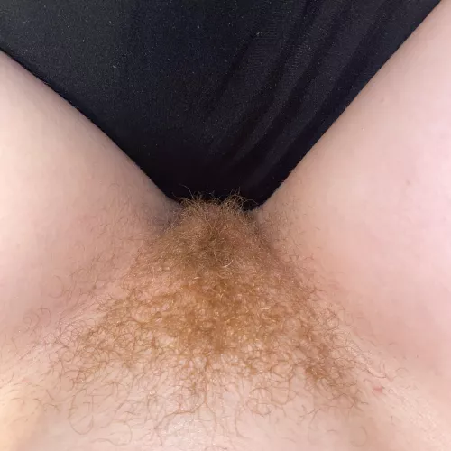 My bf wants me to shave my ginger bush :(