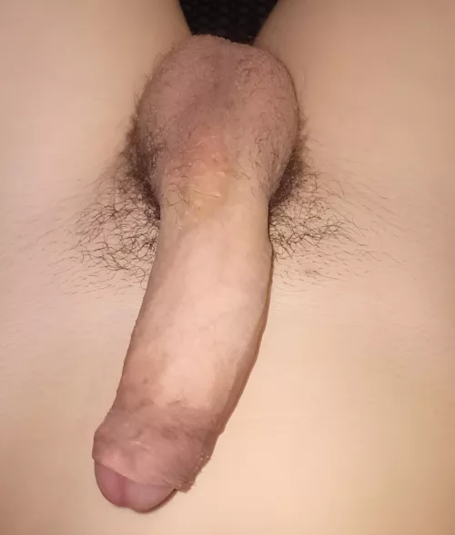My birthday penis