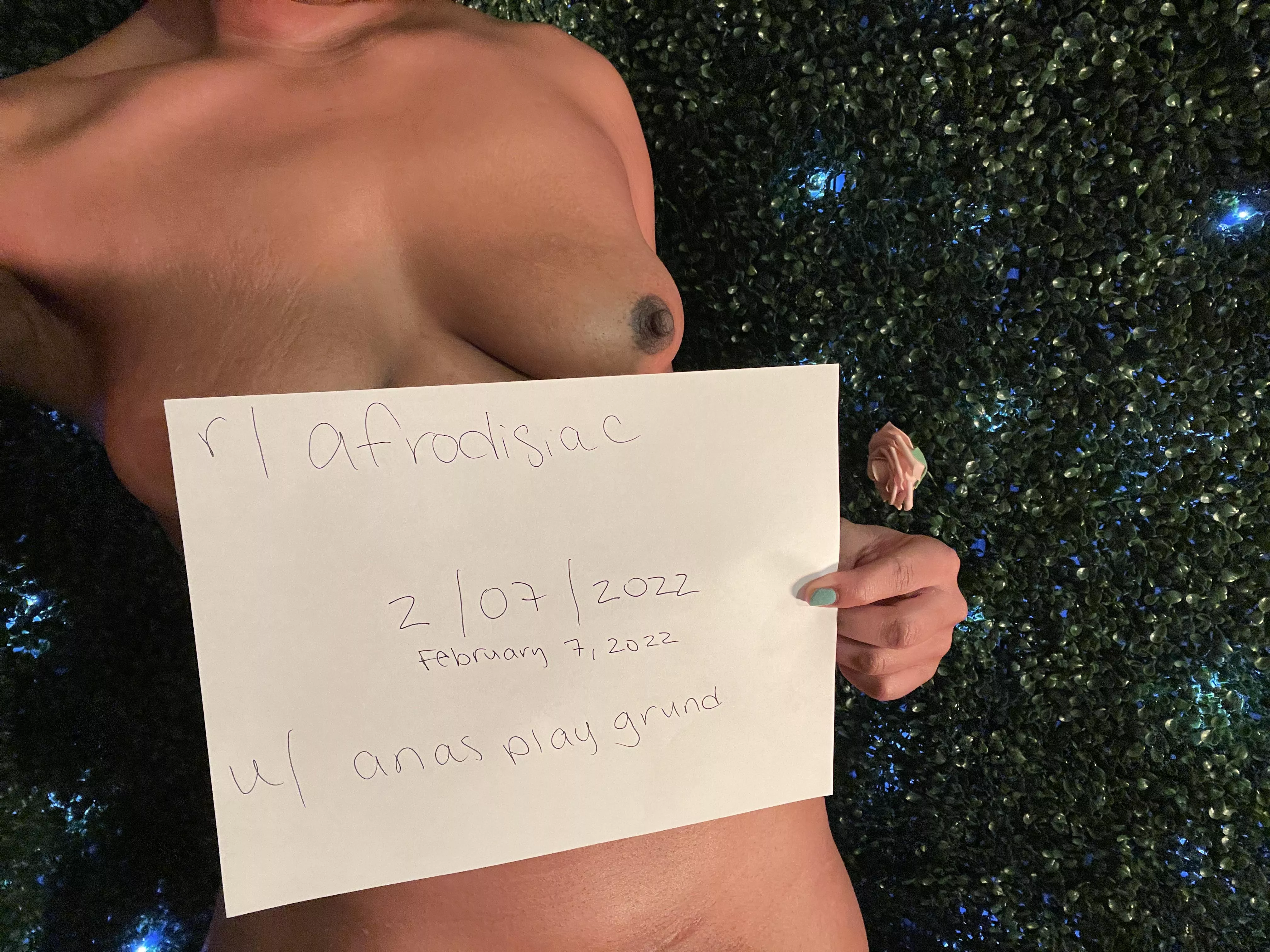 MY BLACK IS BEAUTIFUL