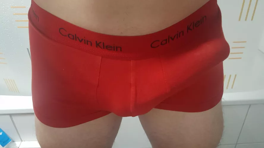 My bulge in Calvins