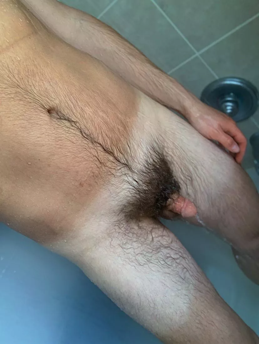 My bush almost covers the full shaft when’s wet 😋