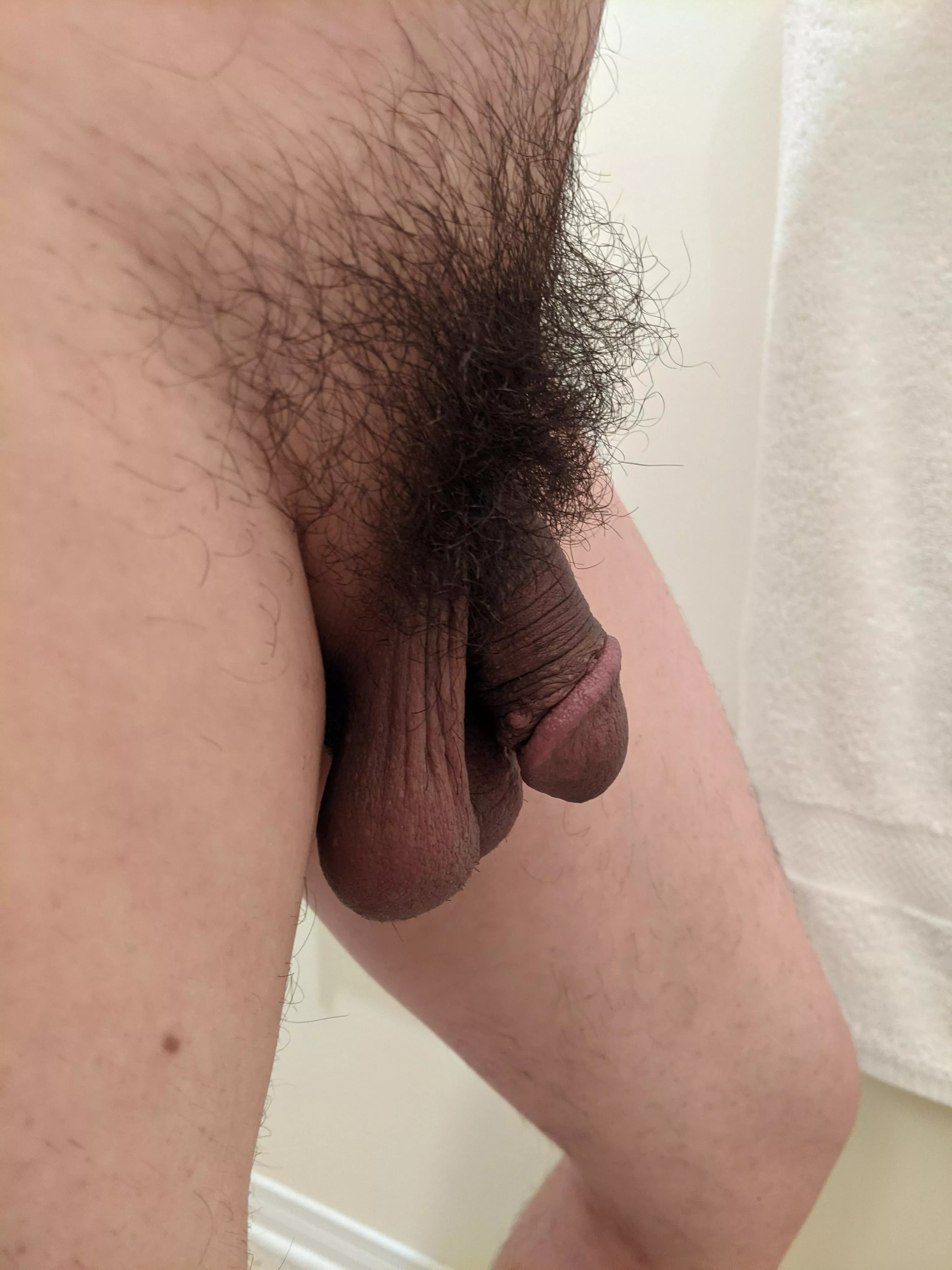 My bush - first time post