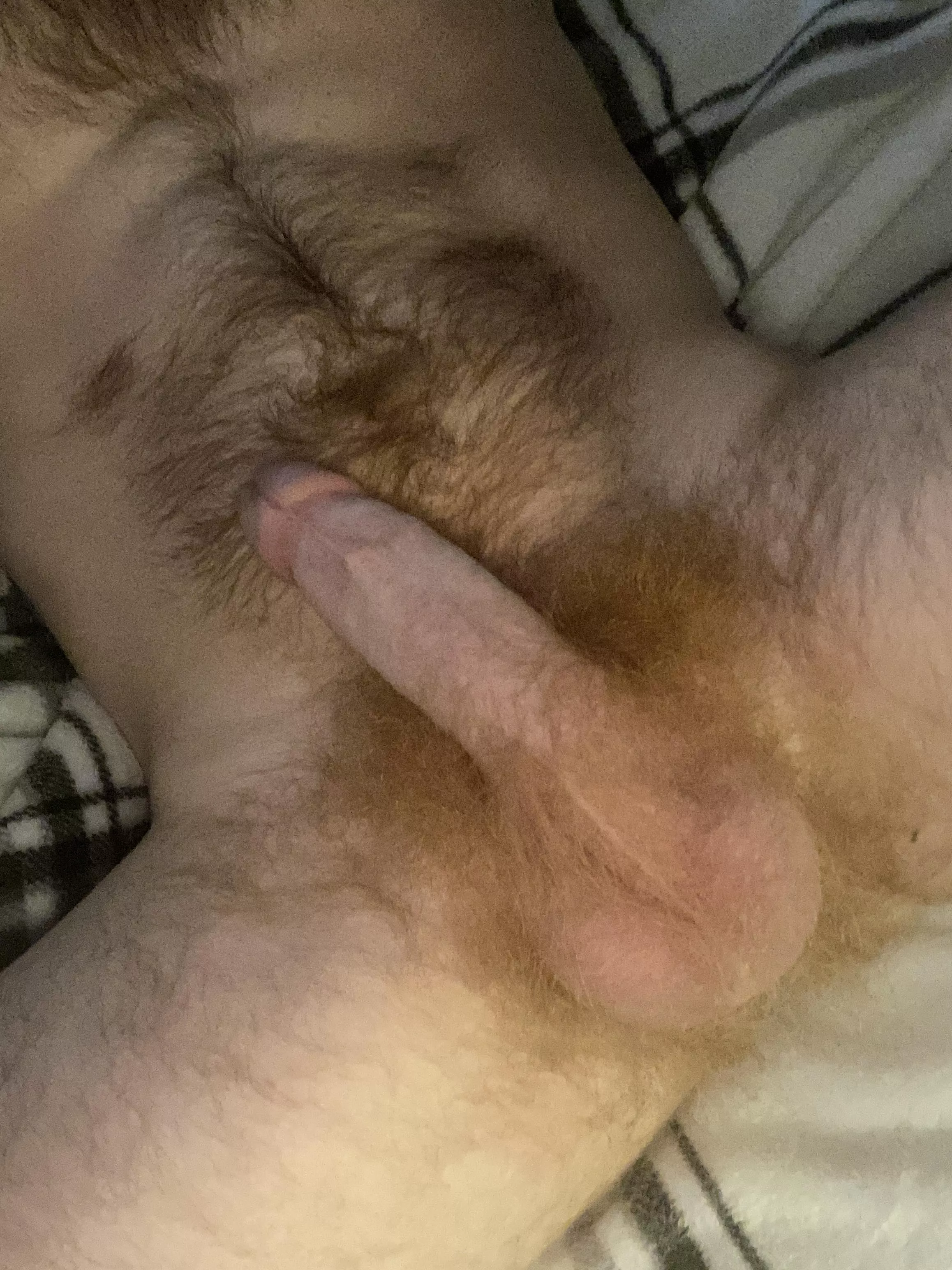 My bush is getting unruly. Thanks to those who sort by new ;)