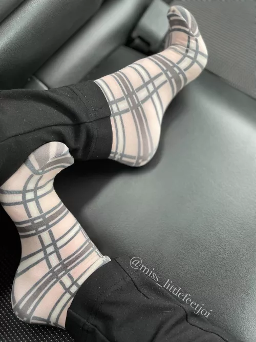 My business socks for the day